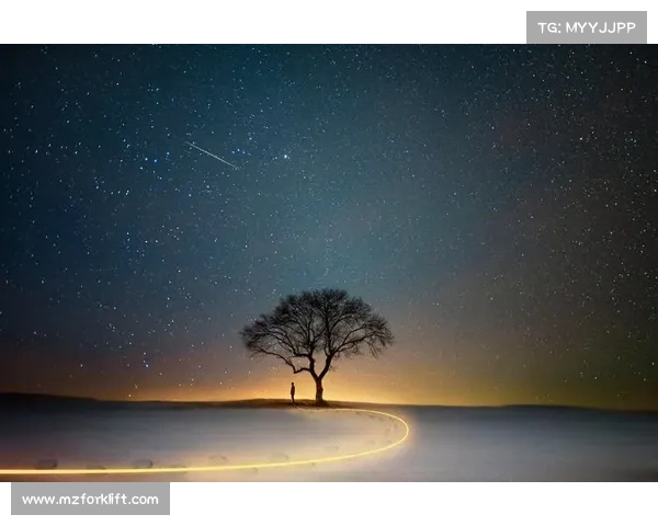 打破偏见携手共进：斯特拉瑞斯游戏中的多元合作与梦想构建启示