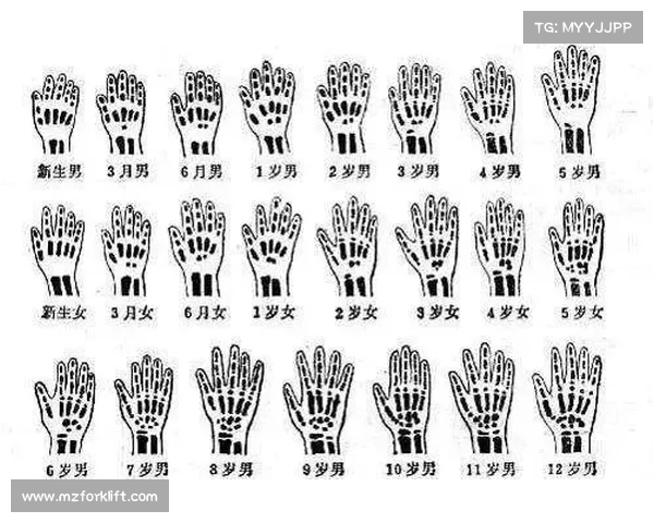 如何选择宝宝练级的最佳地点 提升效率的关键要素解析